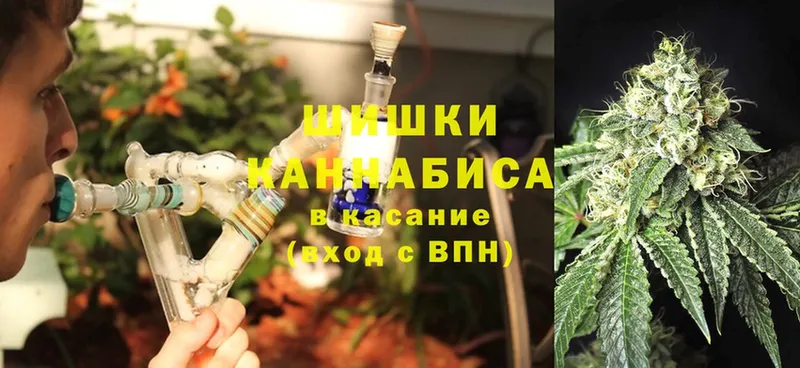 Шишки марихуана THC 21%  Заозёрный 